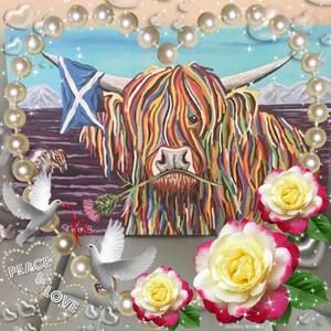 Meet your Posher, Janice